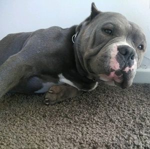 Meet your Posher, Celina